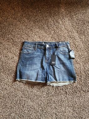Kut from the Kloth Blue Denim Cutoff Shorts
